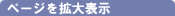 �y�[�W���g��\��
