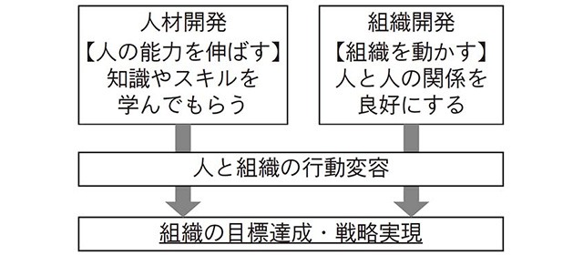 図表２　人材開発と組織開発についての画像