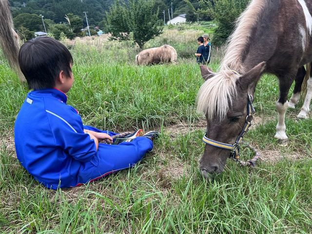 放課後、馬と触れ合う子どもたちの写真１