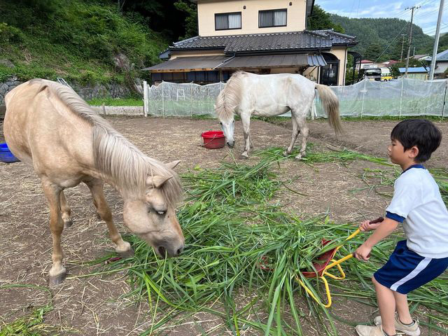 放課後、馬と触れ合う子どもたちの写真２