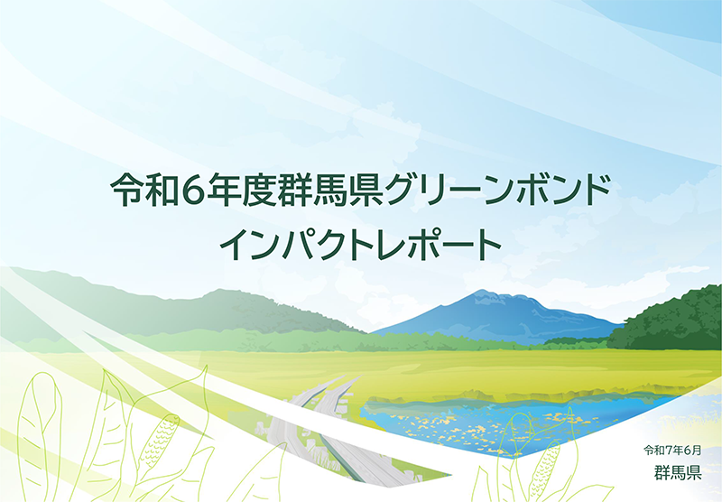 インパクトレポートの画像①