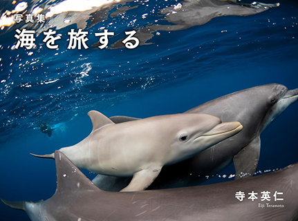 【書影】海を旅する