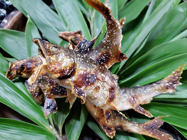 鮎の炭火の塩焼きの写真