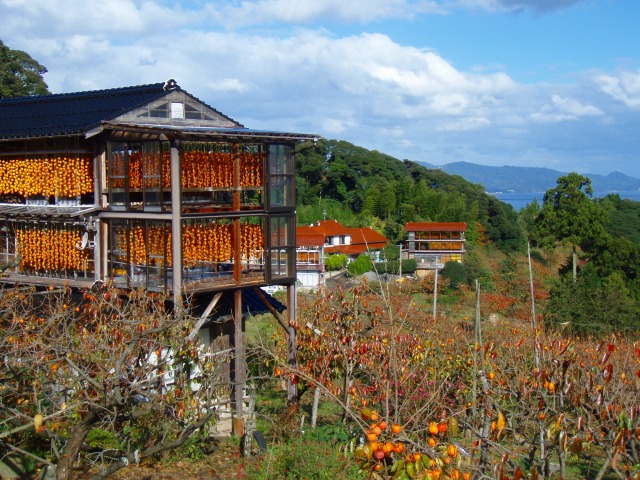 柿小屋写真①